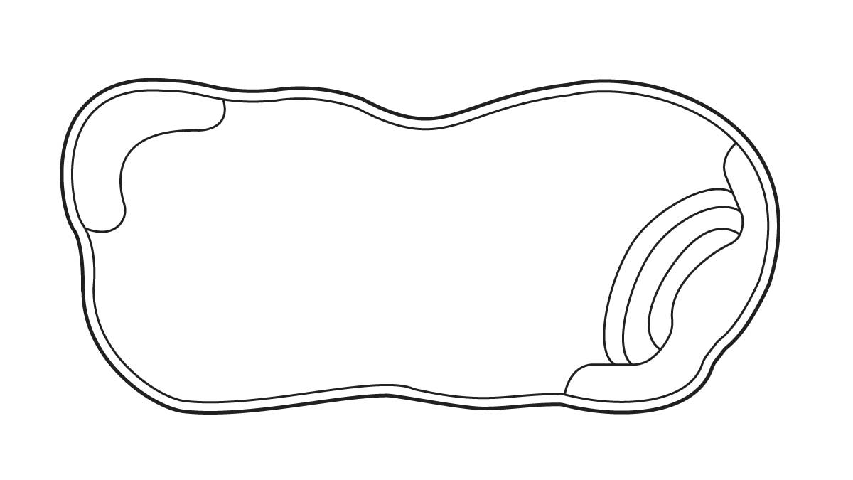 petoskey pool outline
